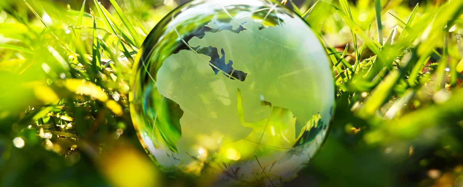 The Importance of Sustainability